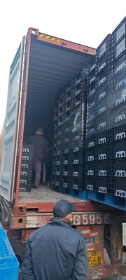 600*400mm ESD 플라스틱 상자 ESD 저장 용기 전자 부품을 위한 전도성 상자